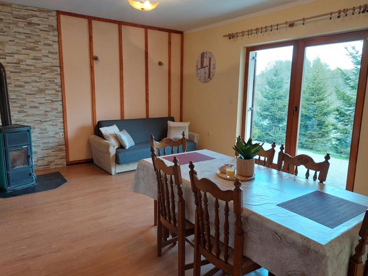 Holiday Home Cancarevic Ravna Gora Esterno foto