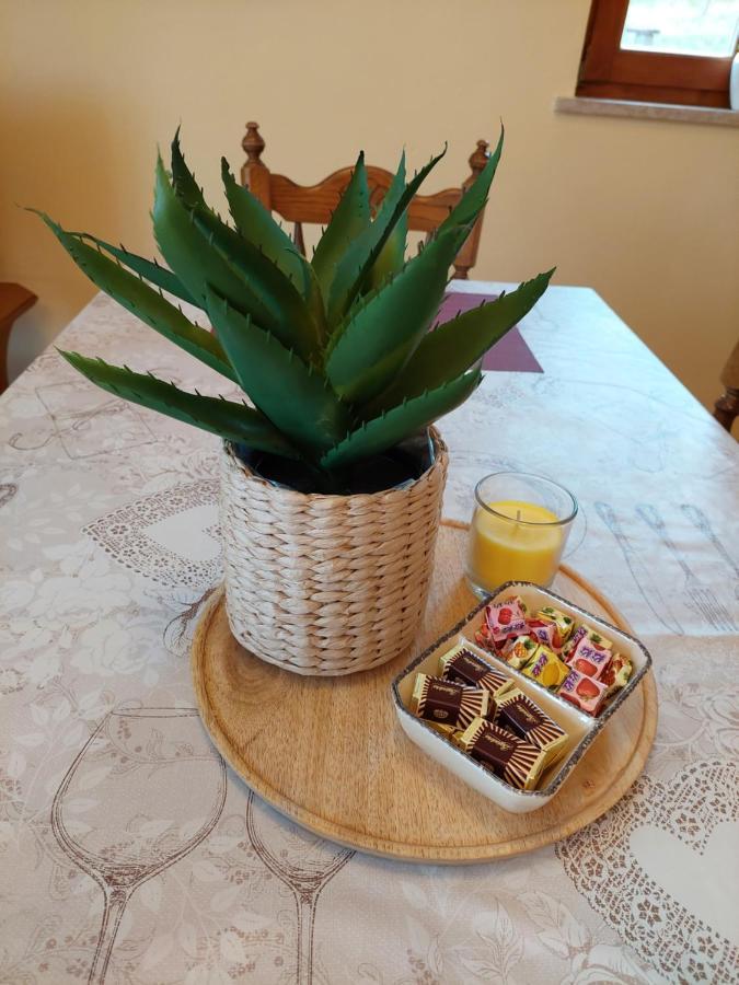 Holiday Home Cancarevic Ravna Gora Esterno foto